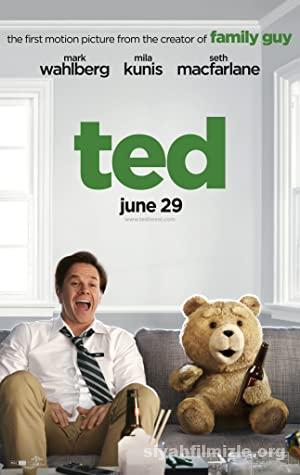 Ayı Teddy 1 2012 Filmi Türkçe Dublaj Altyazılı Full izle