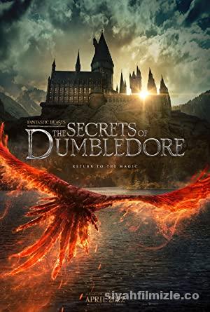 Fantastik Canavarlar: Dumbledore’un Sırları 2022 Filmi izle