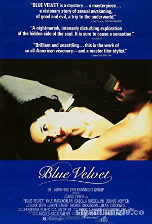 Mavi Kadife (Blue Velvet) 1986 Filmi Türkçe Dublaj Full izle