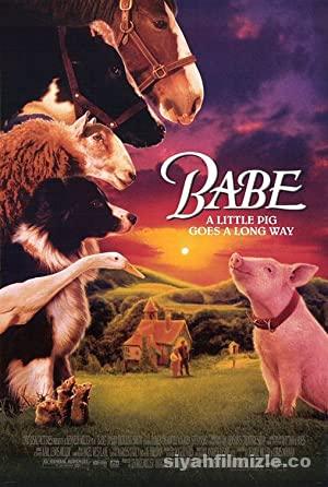 Bebe (Babe) 1995 Türkçe Dublaj Filmi Full HD izle