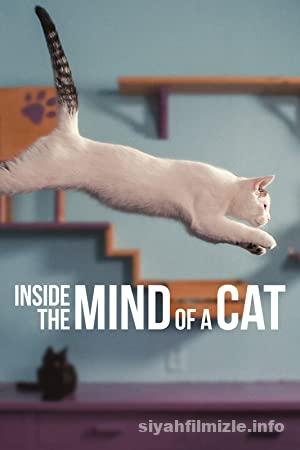 Inside the Mind of a Cat 2022 Filmi Türkçe Altyazılı Full izle